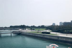 阿聯酋對中國公民免簽新規發布：180天內限停90天